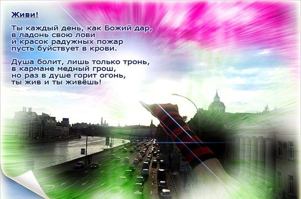 Каталог декоративных кустарников, сирень, спирея, шиповник Как быстро и красиво загореть на море? форум