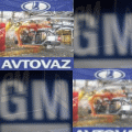 vazgm